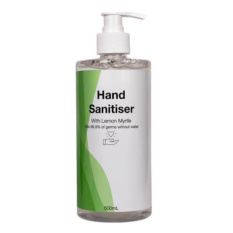 500ml Hand Sanitiser.jpg
