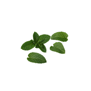 Active Ingredients (2)