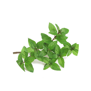 Active Ingredients (5)